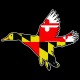 Shore Redneck MD Banded Duck Decal