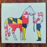 Shore Redneck Maryland Horse Girl