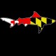 Shore Redneck MD Bull Shark Decal