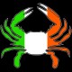 Shore Redneck Irish Flag Crab Decal