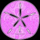Shore Redneck Pink Paisley Sand Dollar Decal