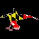 Shore Redneck Maryland Landing Goose Decal