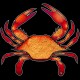 Shore Redneck Spiced and Steamed Crab Decal