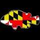 Shore Redneck MD Tautog Decal