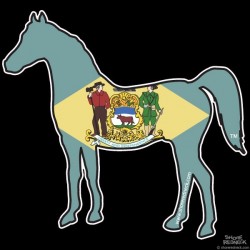 Shore Redneck DelawareFlag Horse Decal