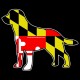 Shore Redneck Maryland Flag Labrador Decal